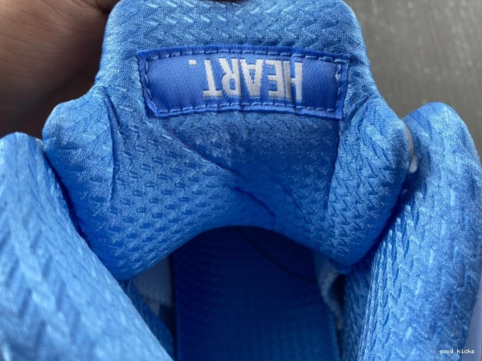 Cheap Air 5 UNC DV1310-401 Jordan 0713